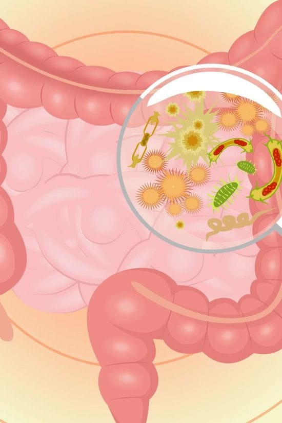 Antibiotics Linked to Increased Risk of Colon Cancer